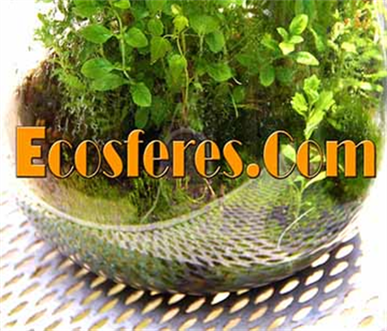 Living Ecosferes